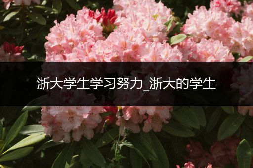 浙大学生学习努力_浙大的学生
