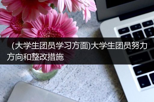 （大学生团员学习方面)大学生团员努力方向和整改措施