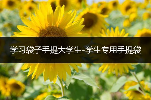 学习袋子手提大学生-学生专用手提袋