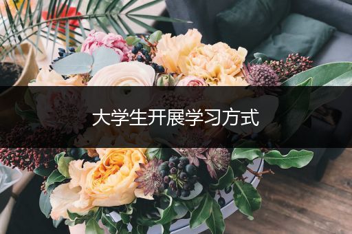 大学生开展学习方式