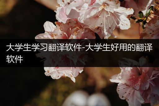 大学生学习翻译软件-大学生好用的翻译软件