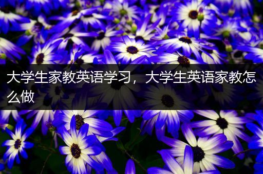 大学生家教英语学习，大学生英语家教怎么做