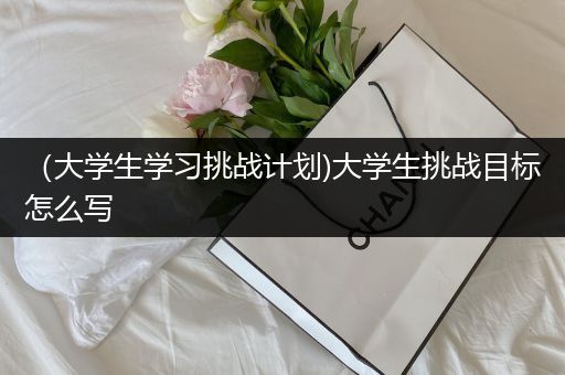 （大学生学习挑战计划)大学生挑战目标怎么写