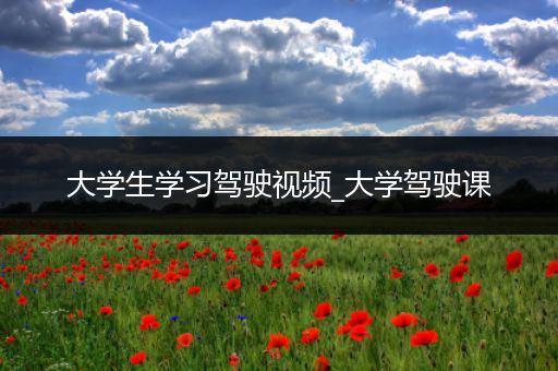 大学生学习驾驶视频_大学驾驶课