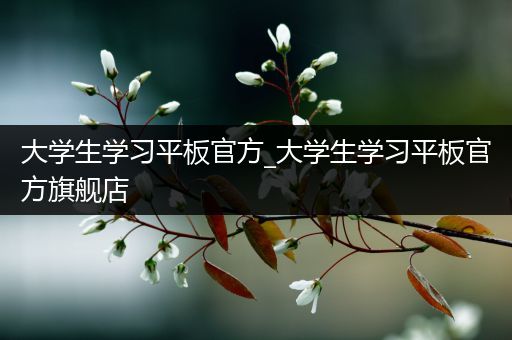 大学生学习平板官方_大学生学习平板官方旗舰店