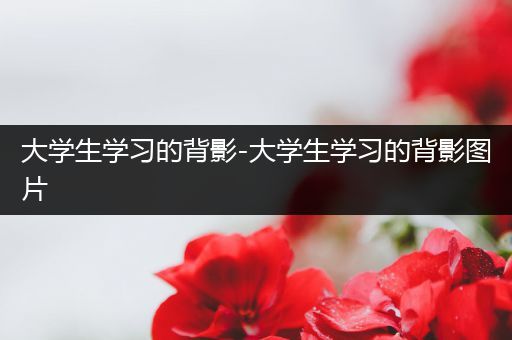 大学生学习的背影-大学生学习的背影图片
