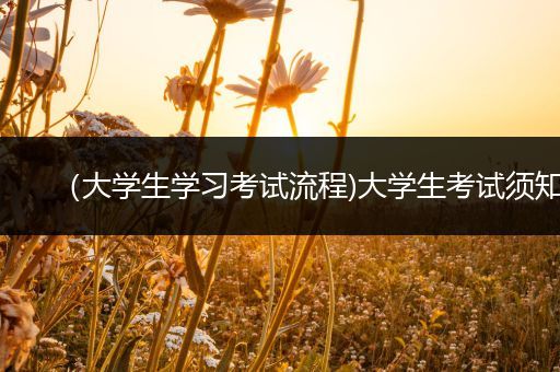 （大学生学习考试流程)大学生考试须知