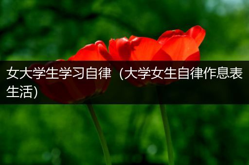 女大学生学习自律（大学女生自律作息表生活）