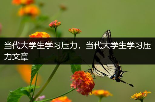 当代大学生学习压力，当代大学生学习压力文章