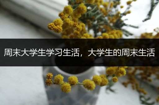 周末大学生学习生活，大学生的周末生活