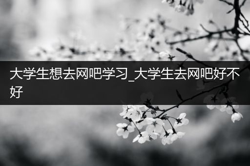 大学生想去网吧学习_大学生去网吧好不好