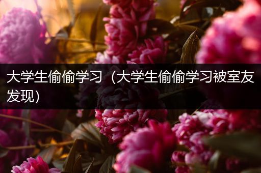 大学生偷偷学习（大学生偷偷学习被室友发现）