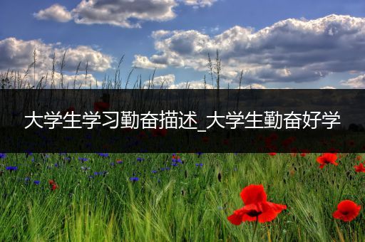 大学生学习勤奋描述_大学生勤奋好学