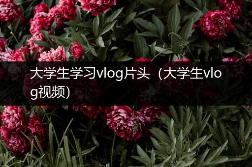 大学生学习vlog片头（大学生vlog视频）