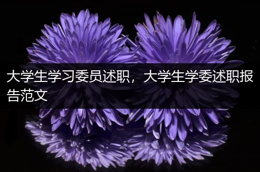 大学生学习委员述职，大学生学委述职报告范文
