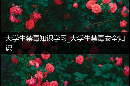 大学生禁毒知识学习_大学生禁毒安全知识