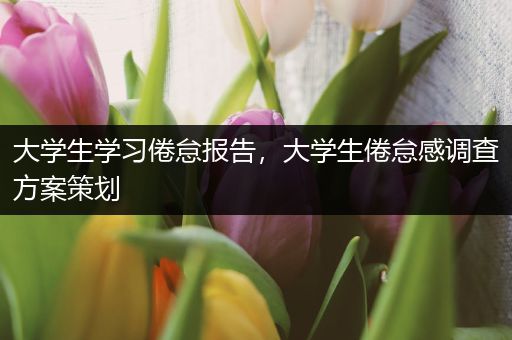 大学生学习倦怠报告，大学生倦怠感调查方案策划