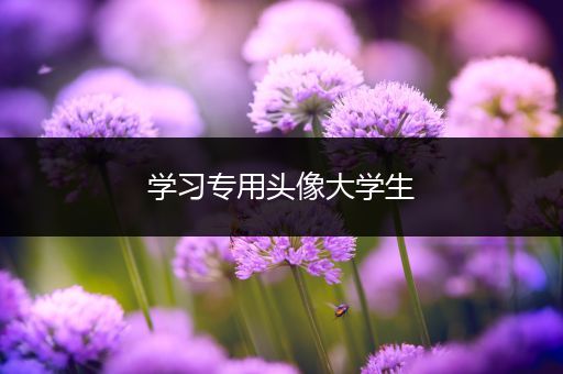 学习专用头像大学生