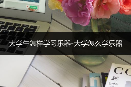 大学生怎样学习乐器-大学怎么学乐器