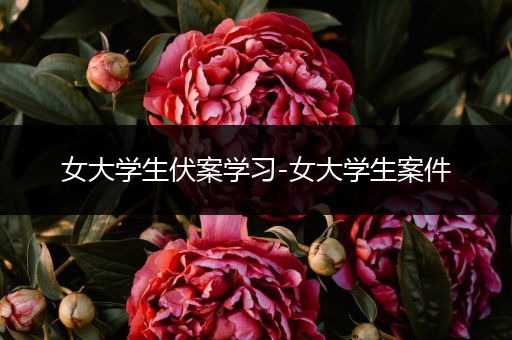 女大学生伏案学习-女大学生案件