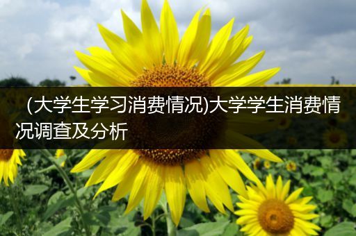 （大学生学习消费情况)大学学生消费情况调查及分析