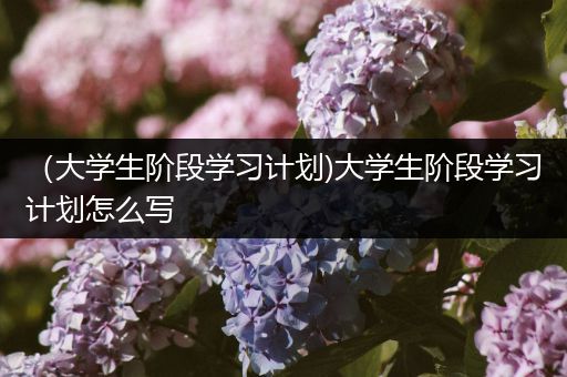 （大学生阶段学习计划)大学生阶段学习计划怎么写