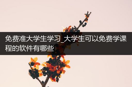 免费准大学生学习_大学生可以免费学课程的软件有哪些