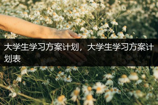大学生学习方案计划，大学生学习方案计划表