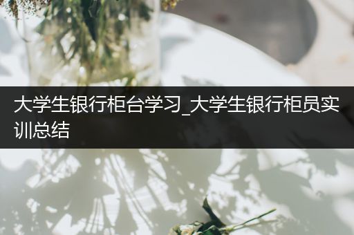 大学生银行柜台学习_大学生银行柜员实训总结