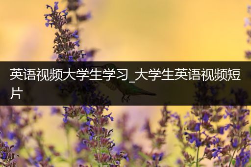 英语视频大学生学习_大学生英语视频短片