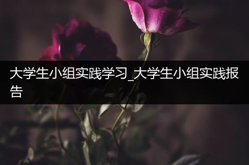 大学生小组实践学习_大学生小组实践报告