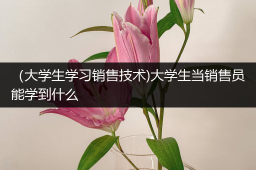 （大学生学习销售技术)大学生当销售员能学到什么