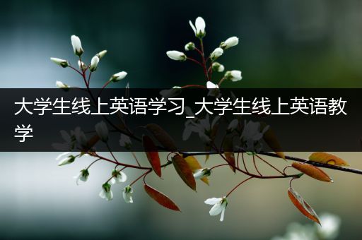 大学生线上英语学习_大学生线上英语教学