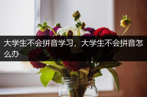 大学生不会拼音学习，大学生不会拼音怎么办