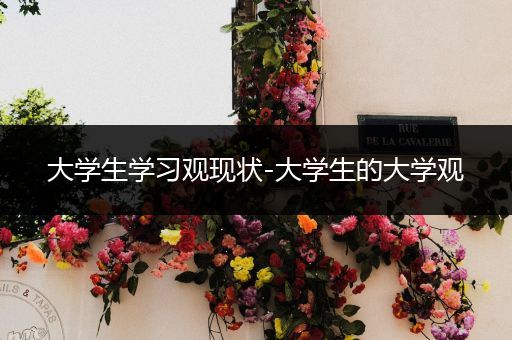 大学生学习观现状-大学生的大学观