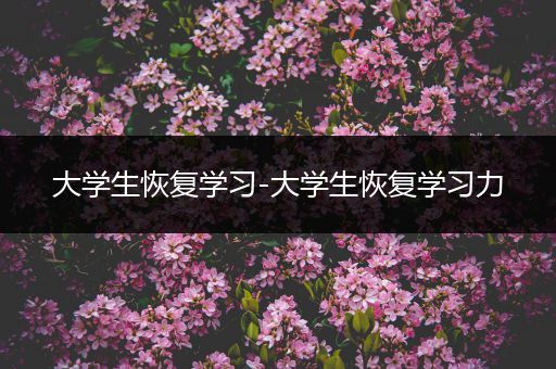 大学生恢复学习-大学生恢复学习力