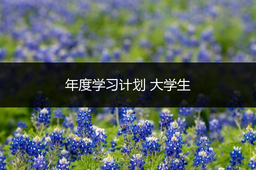 年度学习计划 大学生