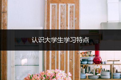认识大学生学习特点