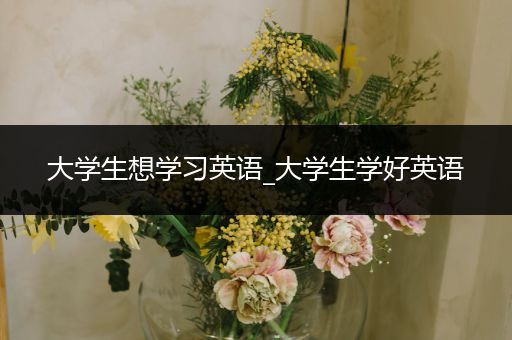 大学生想学习英语_大学生学好英语