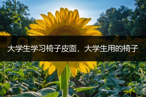 大学生学习椅子皮面，大学生用的椅子