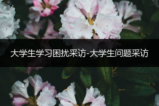 大学生学习困扰采访-大学生问题采访