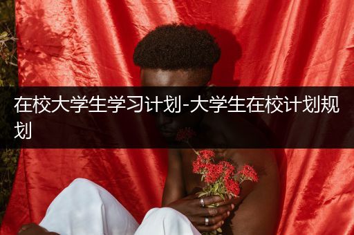 在校大学生学习计划-大学生在校计划规划