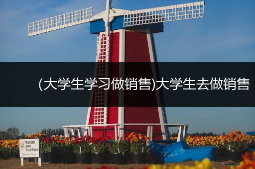 （大学生学习做销售)大学生去做销售