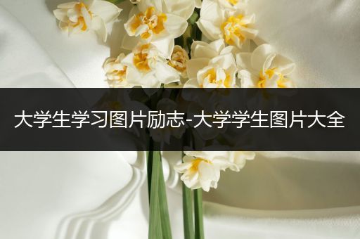 大学生学习图片励志-大学学生图片大全