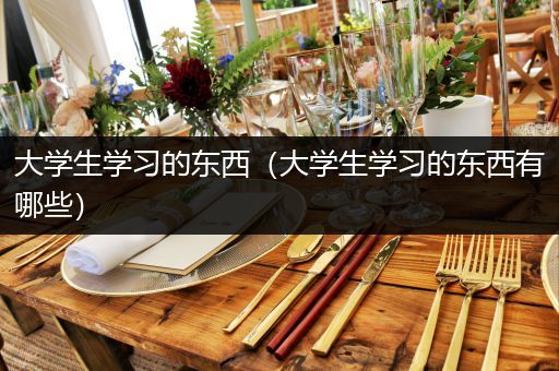 大学生学习的东西（大学生学习的东西有哪些）