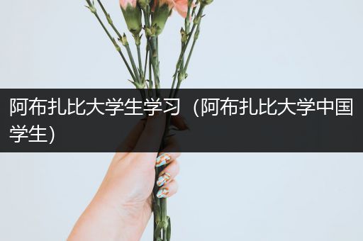 阿布扎比大学生学习（阿布扎比大学中国学生）