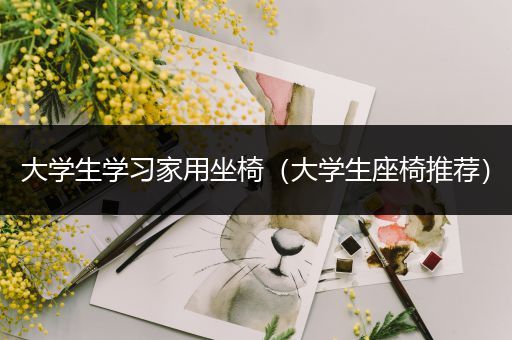 大学生学习家用坐椅（大学生座椅推荐）