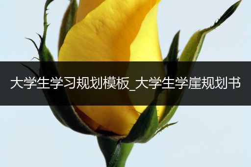 大学生学习规划模板_大学生学崖规划书