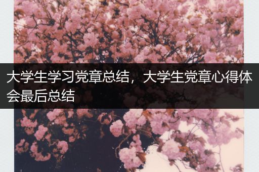 大学生学习党章总结，大学生党章心得体会最后总结