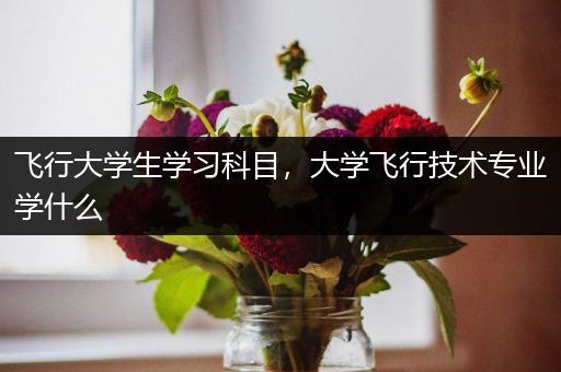 飞行大学生学习科目，大学飞行技术专业学什么